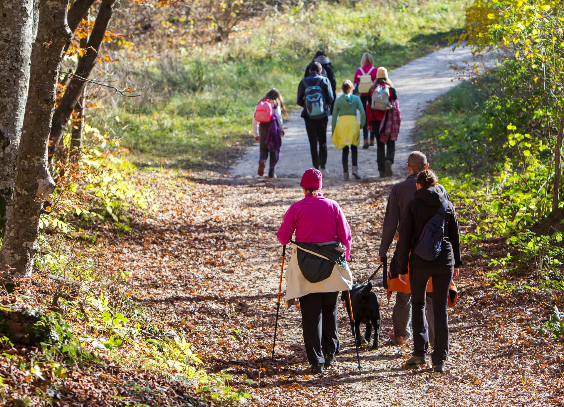Hiking in Wasaga